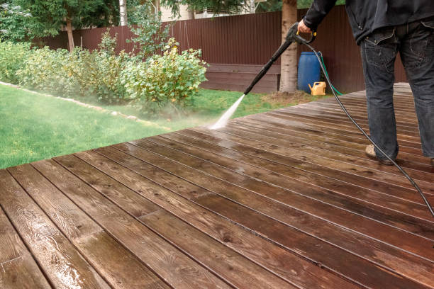Best Driveway Pressure Washing  in Mount Morris, IL